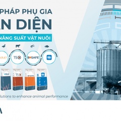 Wisium Việt Nam giới thiệu bộ giải pháp phụ gia toàn diện giúp tăng năng suất vật nuôi